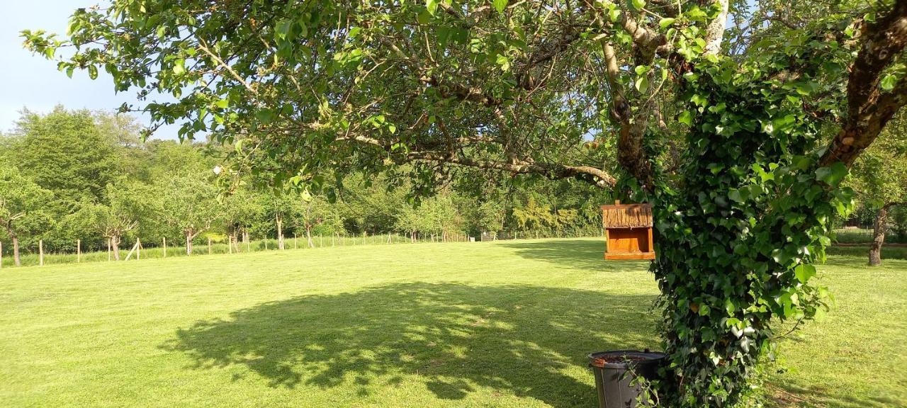 Gites Le Clos Du Verger Maurens  ภายนอก รูปภาพ
