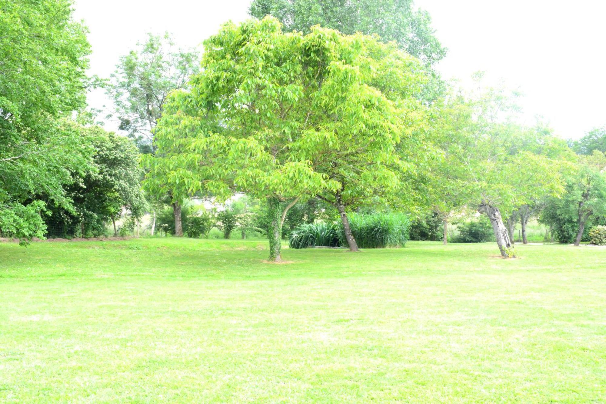 Gites Le Clos Du Verger Maurens  ภายนอก รูปภาพ