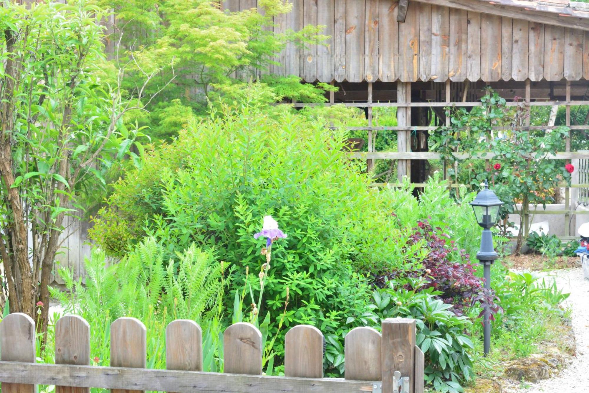 Gites Le Clos Du Verger Maurens  ภายนอก รูปภาพ